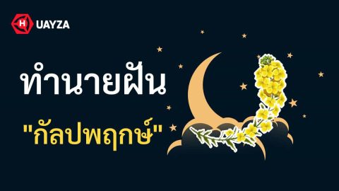 ฝันเห็นกัลปพฤกษ์