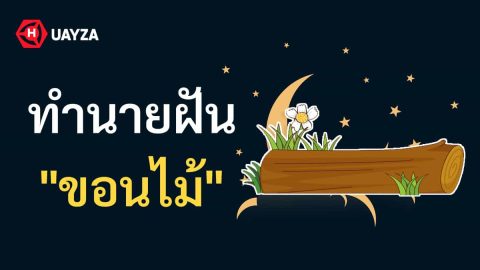 ฝันเห็นขอนไม้