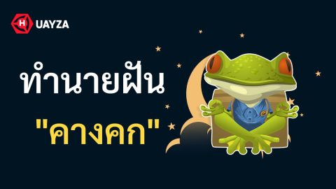 ฝันเห็นคางคก