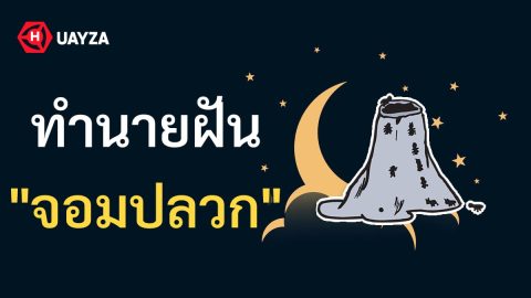 ฝันเห็นจอมปลวก