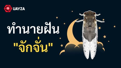 ฝันเห็นจักจั่น