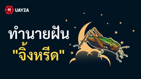 ฝันเห็นจิ้งหรีด