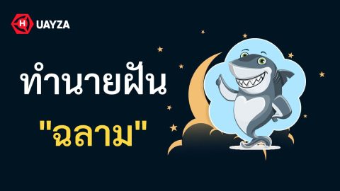 ฝันเห็นฉลาม