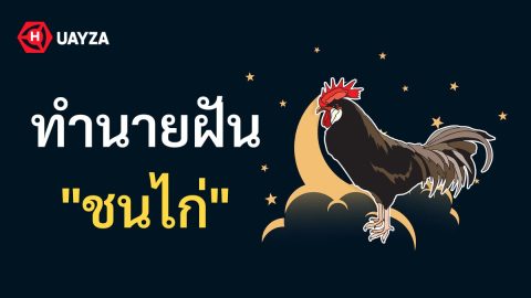 ฝันเห็นชนไก่