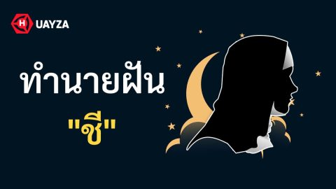 ฝันเห็นชี