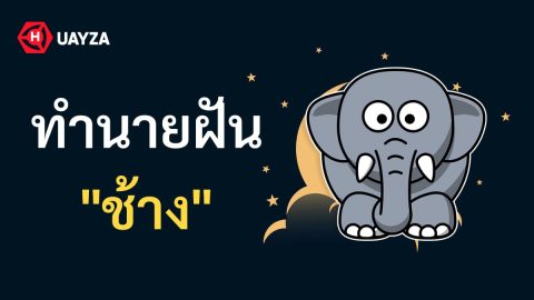 ฝันเห็นช้าง