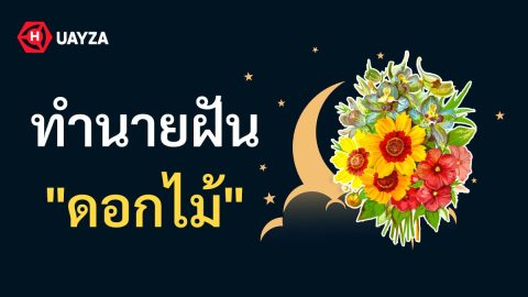 ฝันเห็นดอกไม้