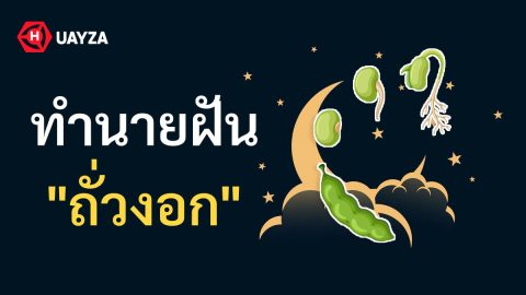 ฝันเห็นถั่วงอก