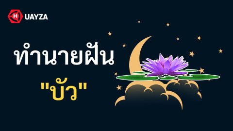 ฝันเห็นบัว