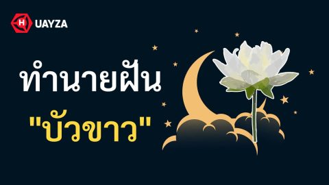 ฝันเห็นบัวขาว