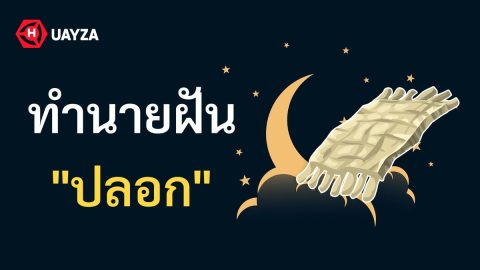 ฝันเห็นปลอก