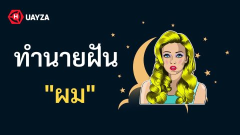 ฝันเห็นผม