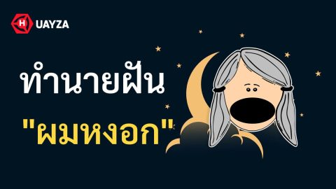 ฝันเห็นผมหงอก