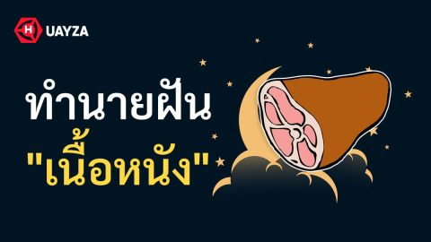 ฝันเห็นเนื้อหนัง