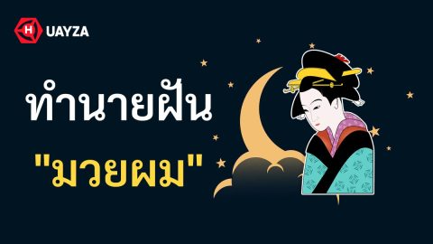 ฝันว่ามวยผม