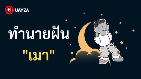 ฝันว่าเมา