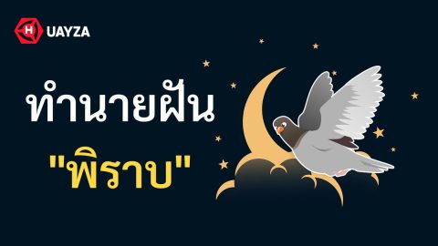 ฝันเห็นพิราบ