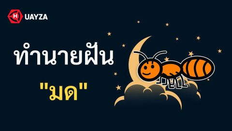 ฝันเห็นมด