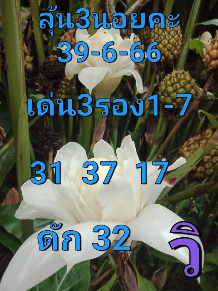 หวยฮานอย30 6 66 ชุด6