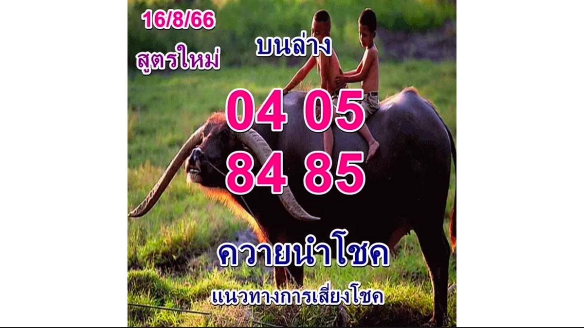 หวยควายนำโชค งวด 16 สิงหาคม 2566