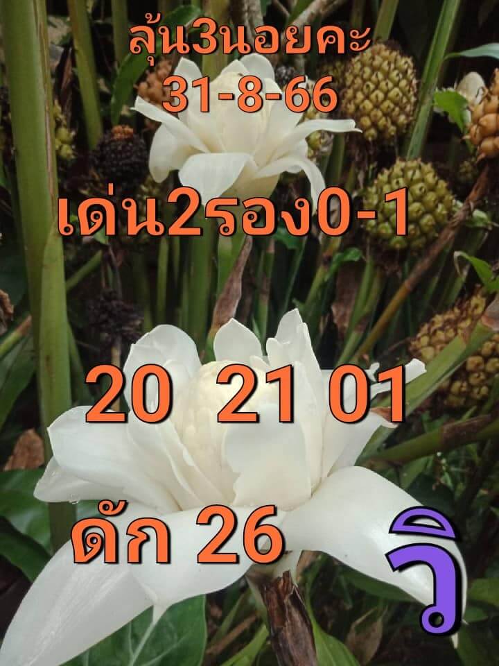 หวยฮานอย 31-8-66 ชุด6