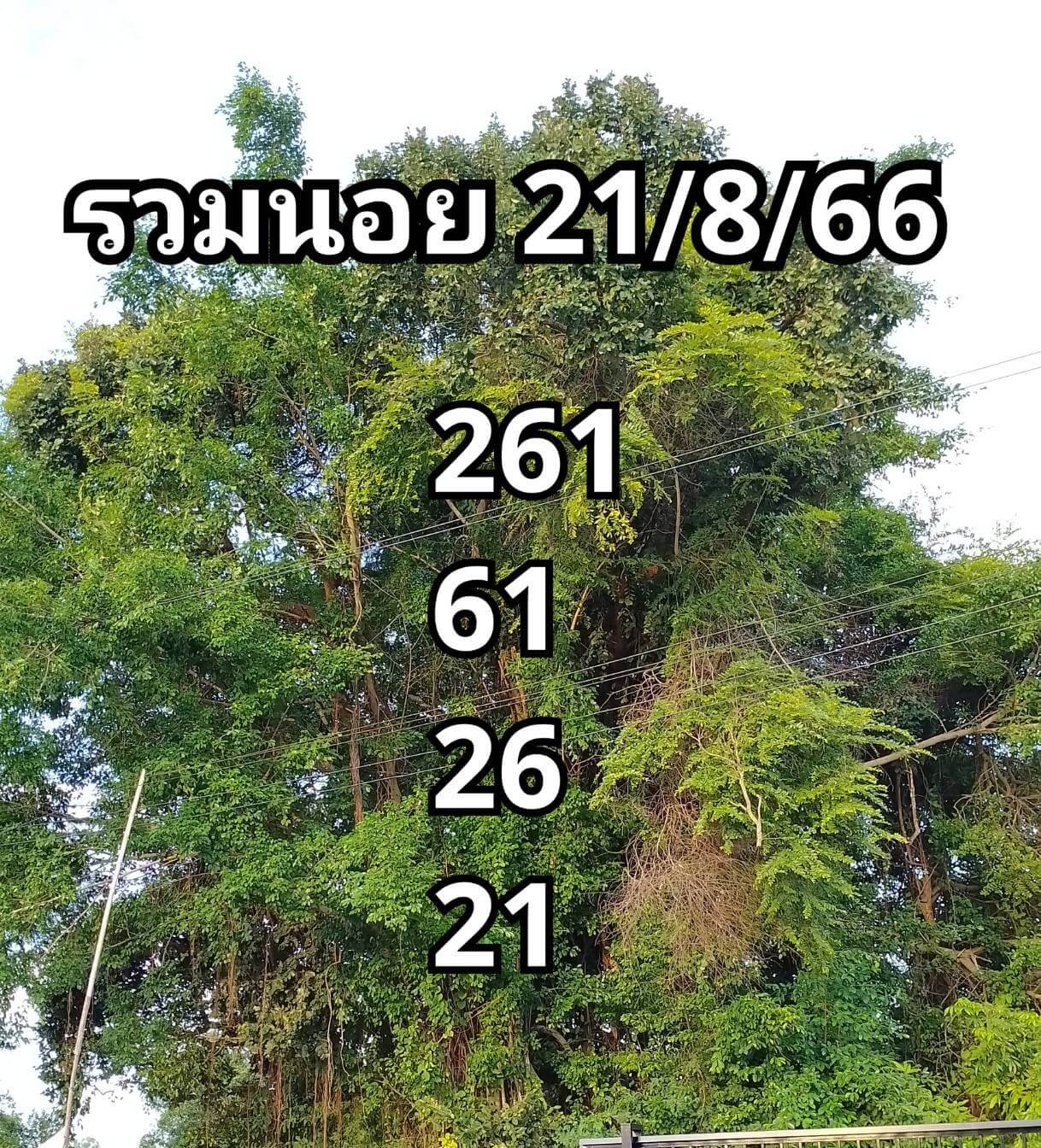 หวยฮานอย21-8-66-ชุด10