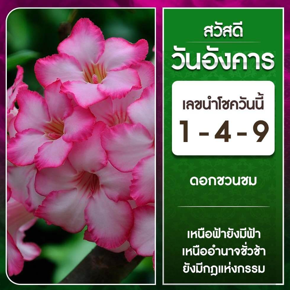 หวยฮานอย 3-10-66 ชุด1