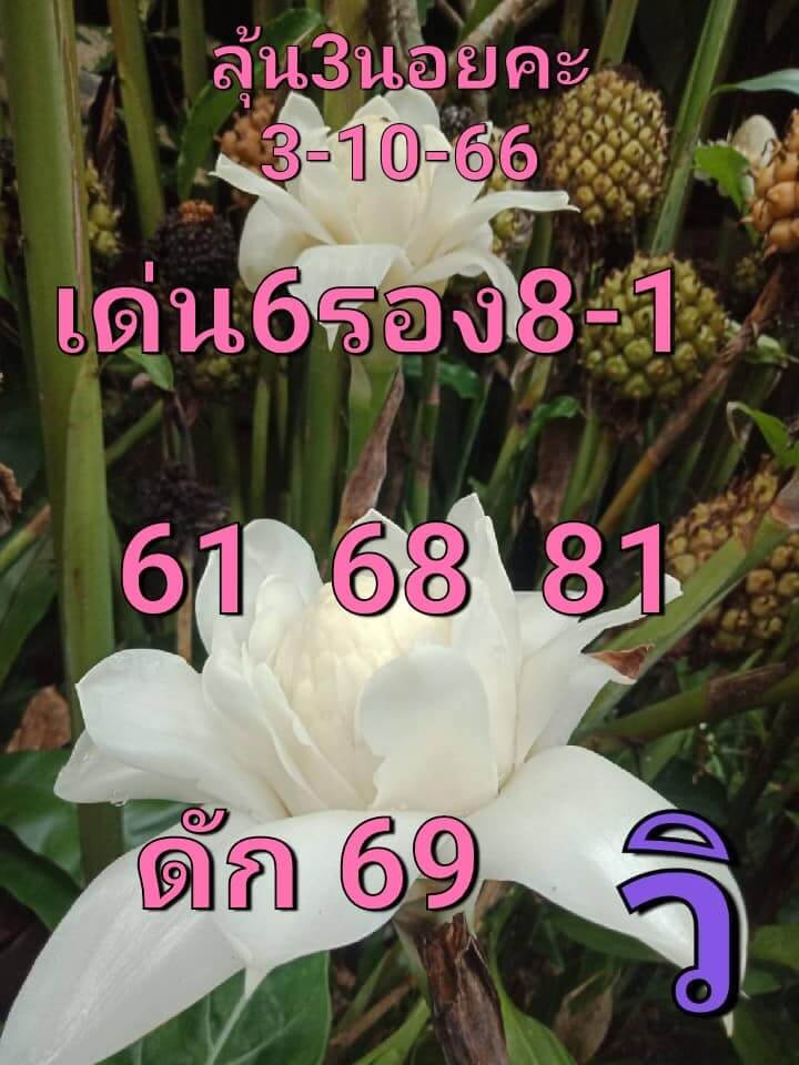 หวยฮานอย 3-10-66 ชุด6