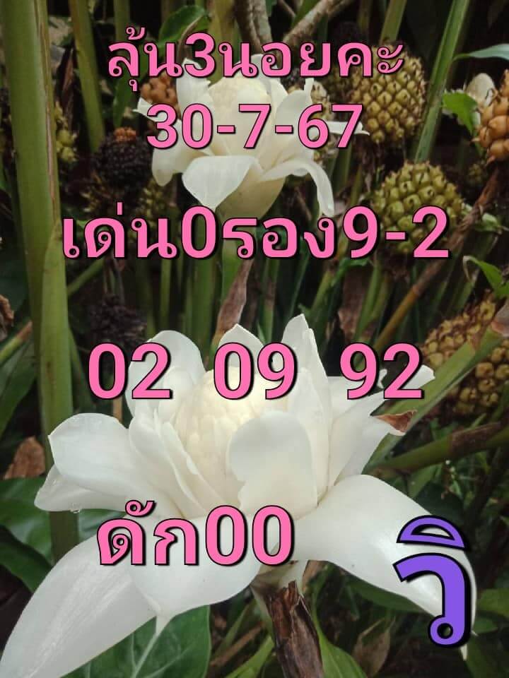 หวยฮานอย 30-7-67 ชุด1