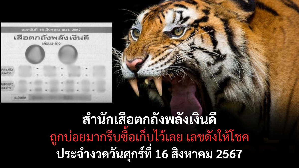 สำนักเสือตกถังพลังเงินดี