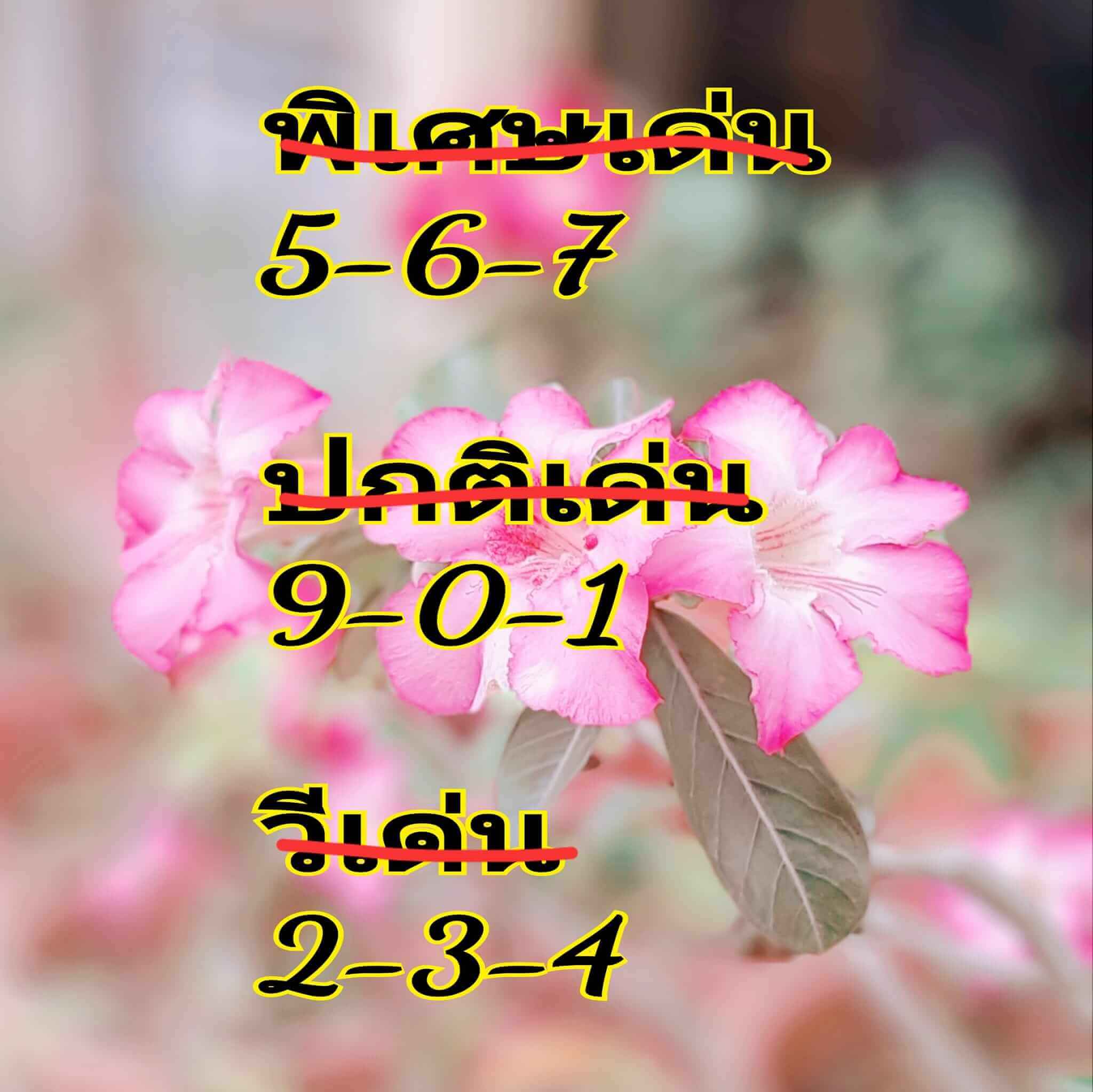 หวยฮานอย 1-8-67 ชุด9