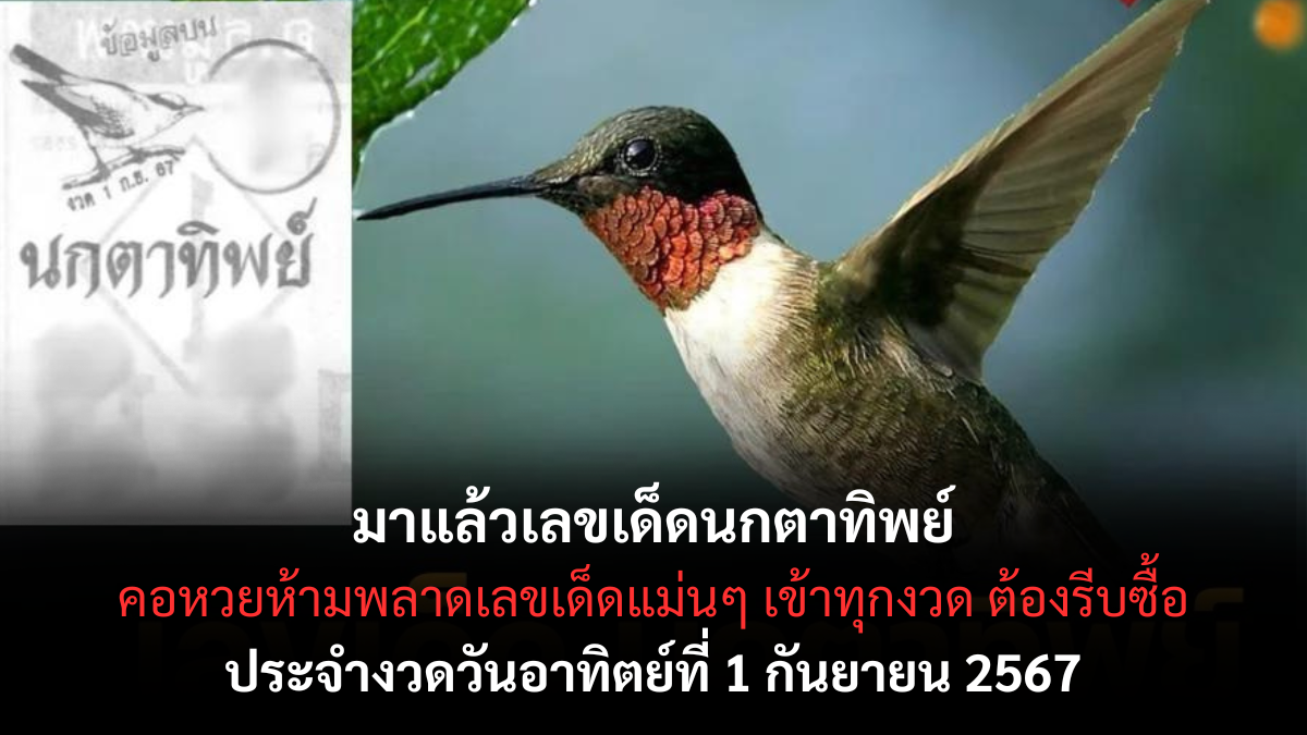 เลขเด็ด นกตาทิพย์