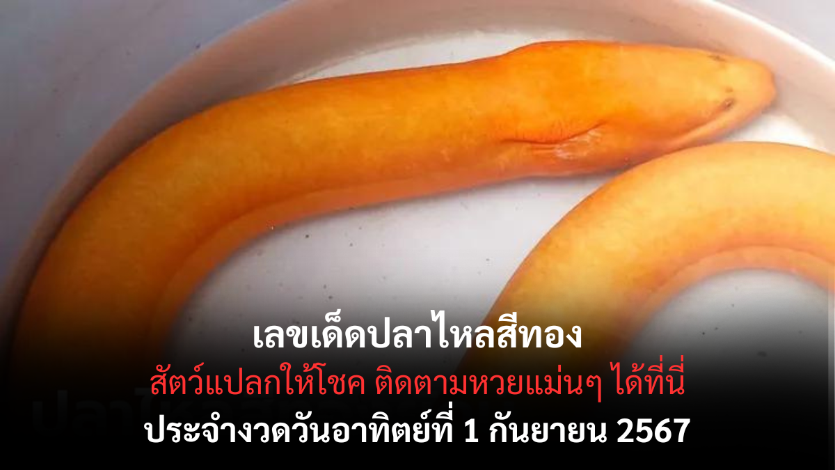 เลขเด็ดปลาไหลสีทอง