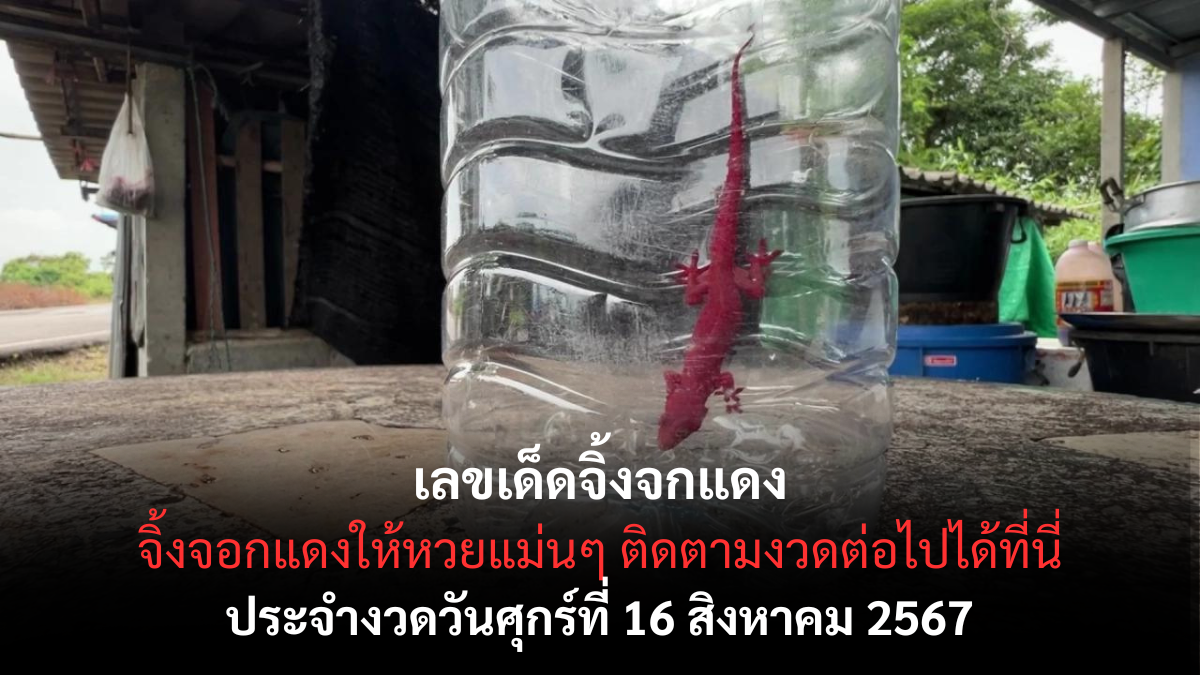 เลขเด็ดจิ้งจกแดง วันที่ 16 สิงหาคม 2567