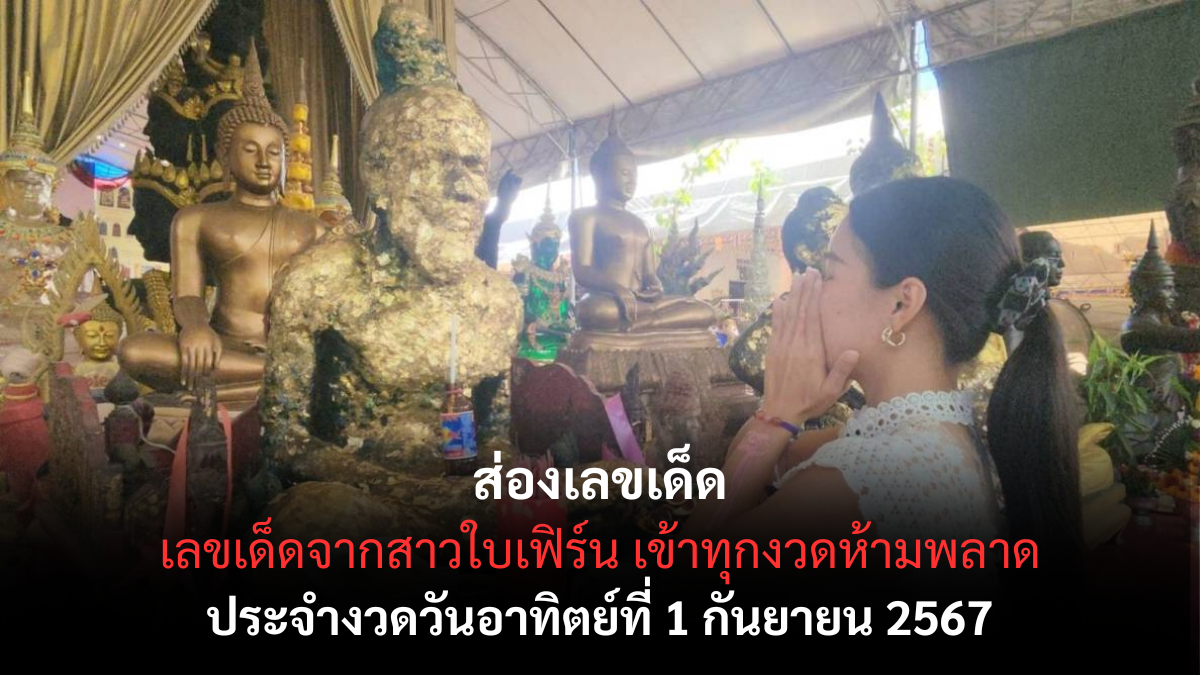 เลขเด็ดใบเฟิร์น