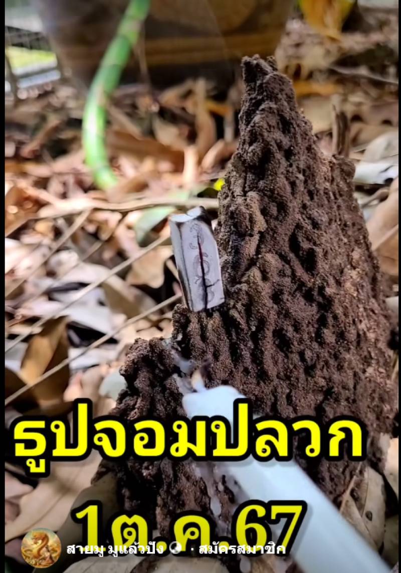 เลขเด็ดจุดธูปจอมปลวก