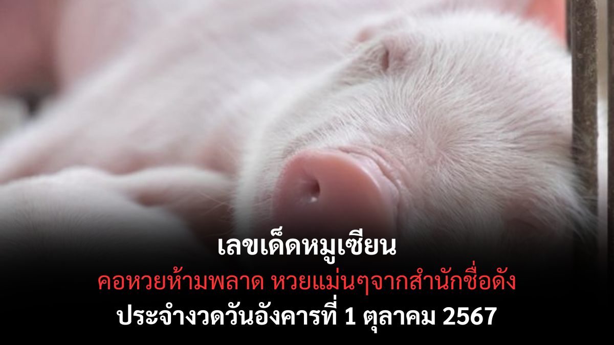 เลขเด็ด หมูเซียน