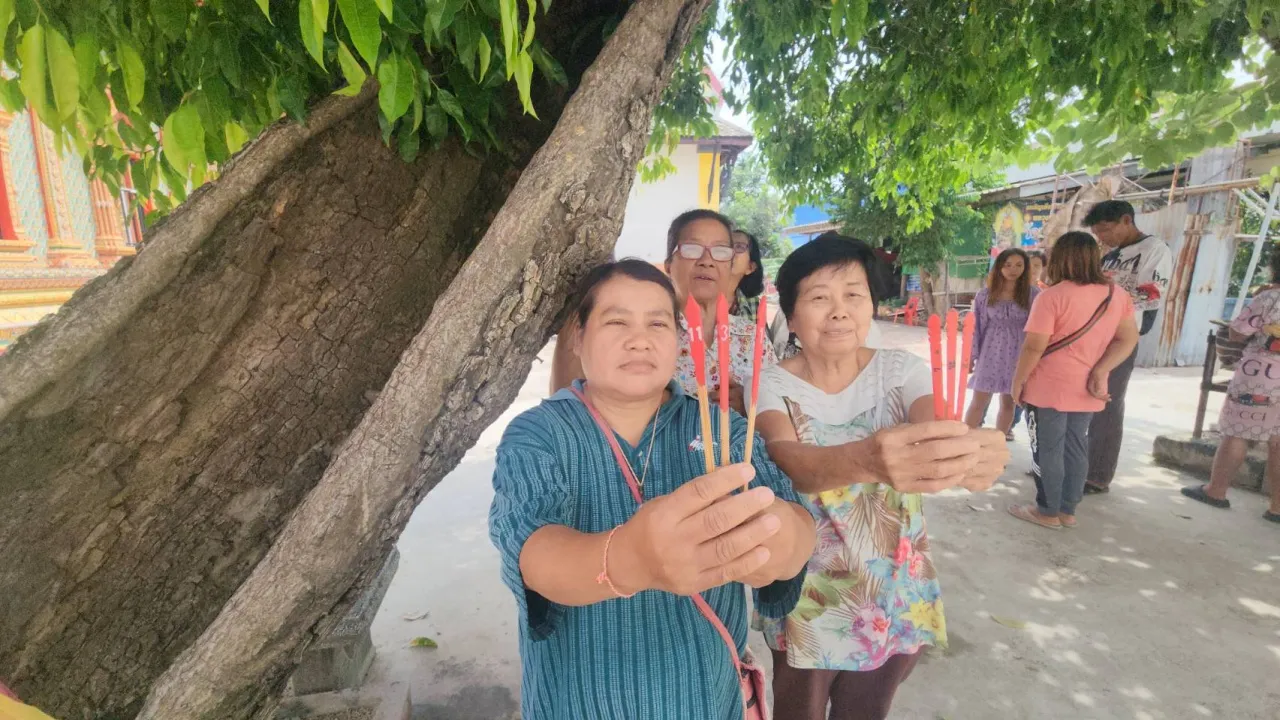 เลขเด็ดต้นพิกุล