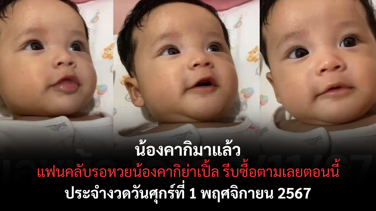 เลขเด็ดน้องคากิ