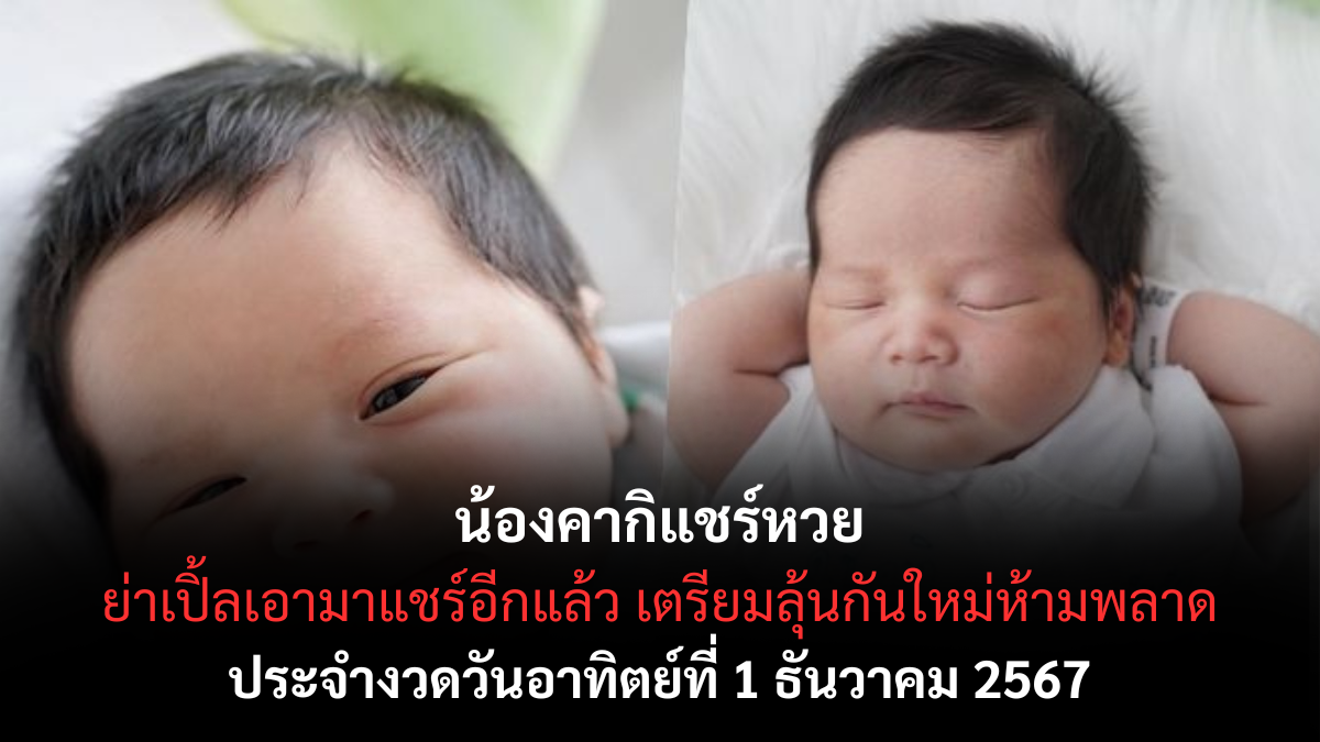 เลขเด็ดน้องคากิ