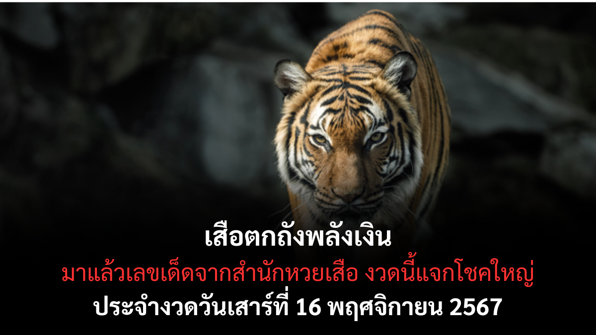 เลขเด็ด เสือตกถังพลังเงิน 16-11-67