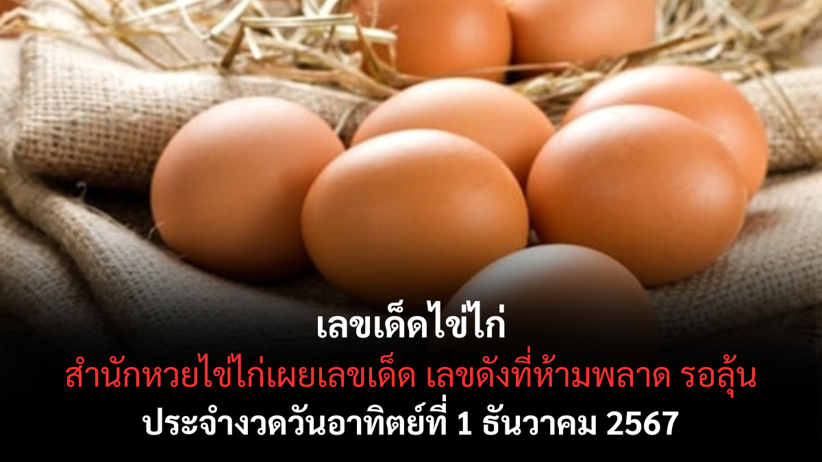 เลขเด็ดไข่ไก่ 3