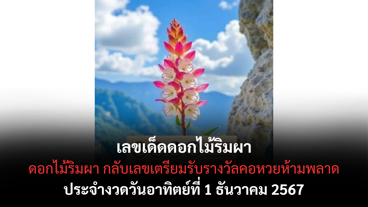 เลขเด็ดดอกไม้ริมผา