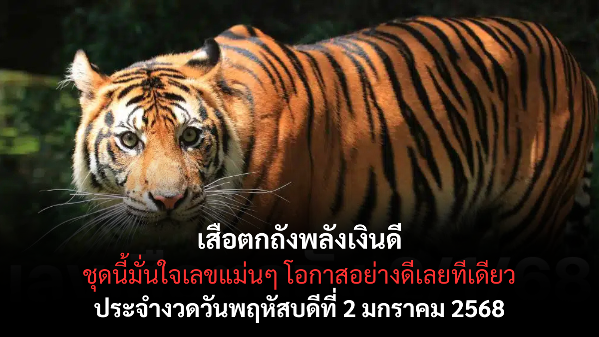 เลขเด็ดเสือตกถังพลังเงินดี