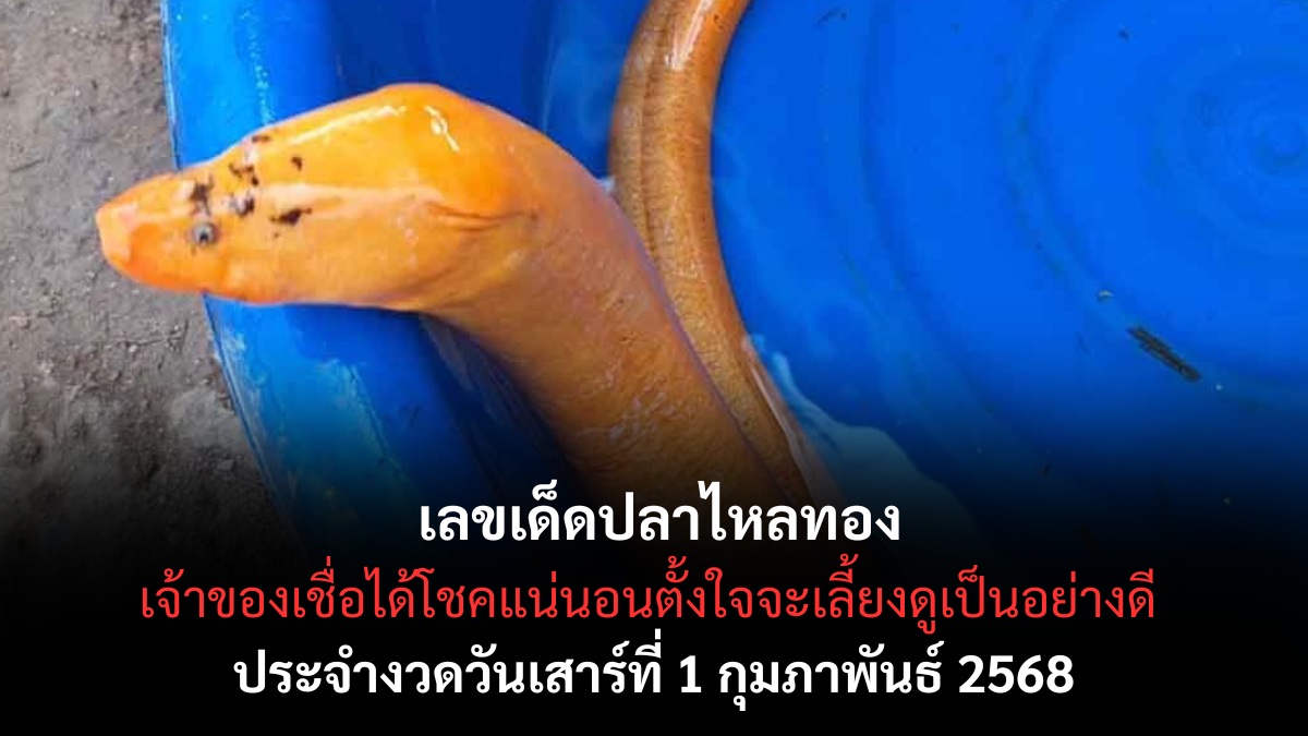 เลขเด็ดปลาไหลทอง