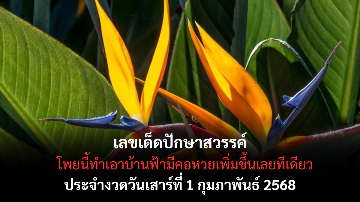 เลขเด็ดปักษาสวรรค์