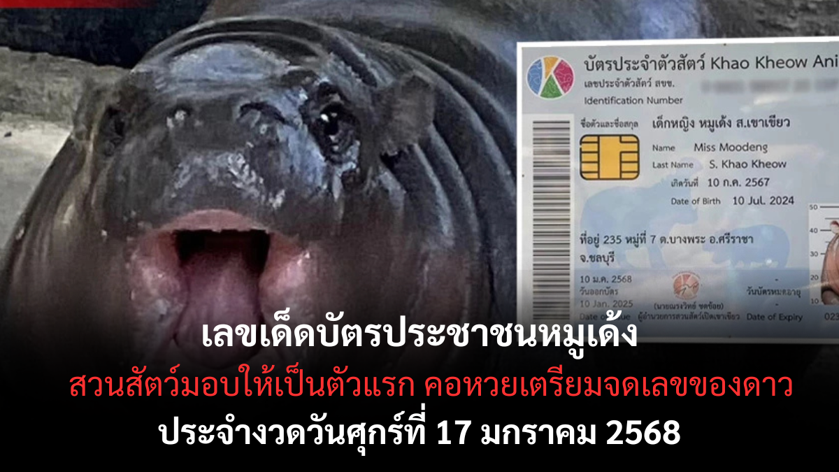 เลขเด็ดบัตรประชาชนหมูเด้ง