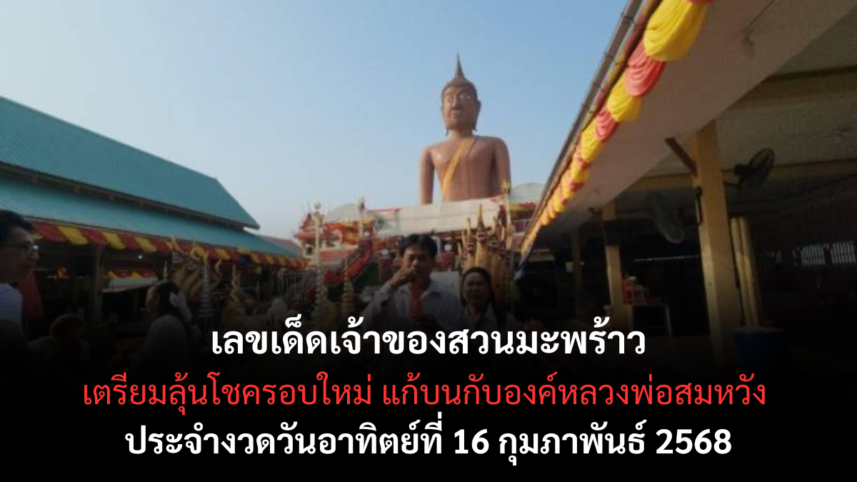 เลขเด็ดเจ้าของสวนมะพร้าว