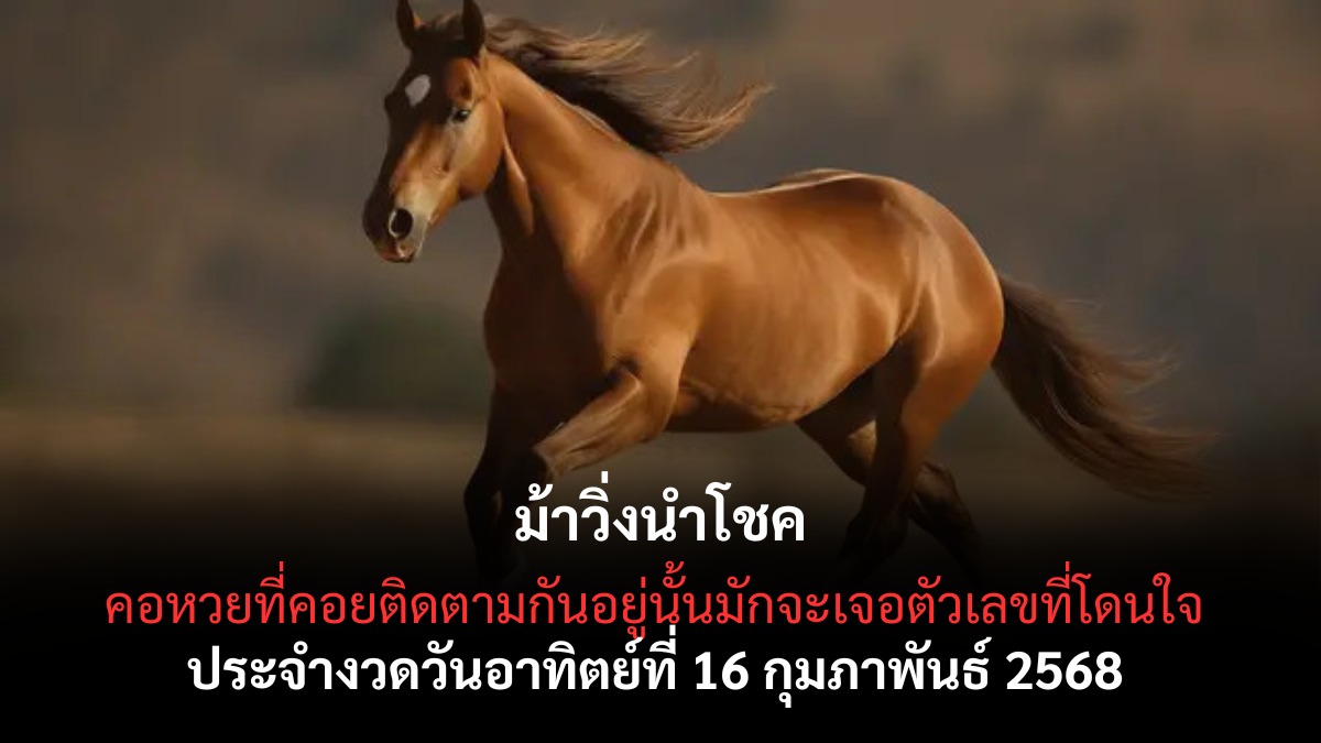 เลขเด็ดม้าวิ่ง