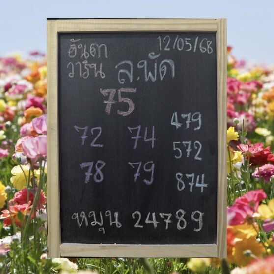 หวยลาว 12-5-68 ชุด8